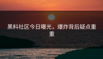 黑料社区今日曝光，爆炸背后疑点重重