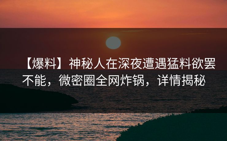 【爆料】神秘人在深夜遭遇猛料欲罢不能，微密圈全网炸锅，详情揭秘