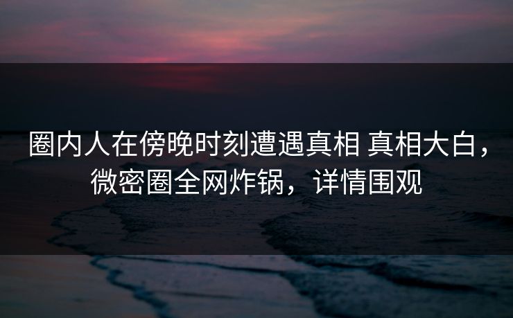 圈内人在傍晚时刻遭遇真相 真相大白,微密圈全网炸锅,详情围观 圈内人在傍晚时刻遭遇真相 真相大白,微密圈全网炸锅,详情围观