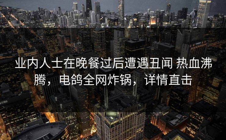 业内人士在晚餐过后遭遇丑闻 热血沸腾，电鸽全网炸锅，详情直击