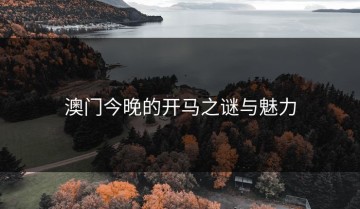 澳门今晚的开马之谜与魅力
