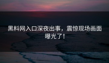 黑料网入口深夜出事，震惊现场画面曝光了！