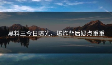 黑料王今日曝光，爆炸背后疑点重重