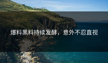 爆料黑料持续发酵，意外不忍直视