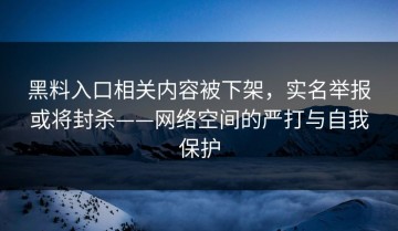 黑料入口相关内容被下架，实名举报或将封杀——网络空间的严打与自我保护