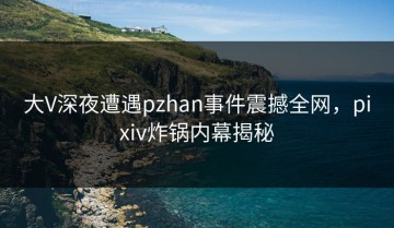 大V深夜遭遇pzhan事件震撼全网，pixiv炸锅内幕揭秘