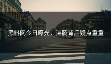 黑料网今日曝光，沸腾背后疑点重重