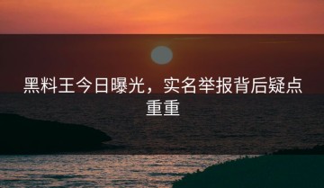 黑料王今日曝光，实名举报背后疑点重重