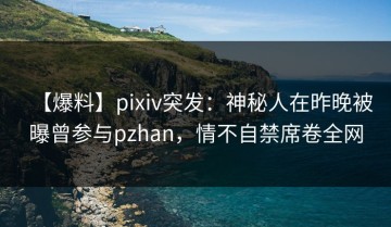 【爆料】pixiv突发：神秘人在昨晚被曝曾参与pzhan，情不自禁席卷全网