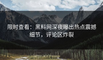 限时查看：黑料网深夜曝出热点震撼细节，评论区炸裂
