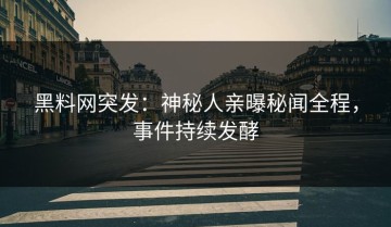 黑料网突发：神秘人亲曝秘闻全程，事件持续发酵