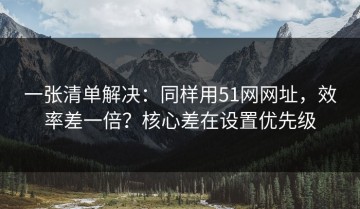 一张清单解决：同样用51网网址，效率差一倍？核心差在设置优先级