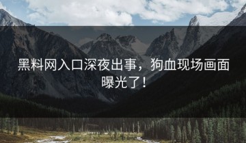 黑料网入口深夜出事，狗血现场画面曝光了！