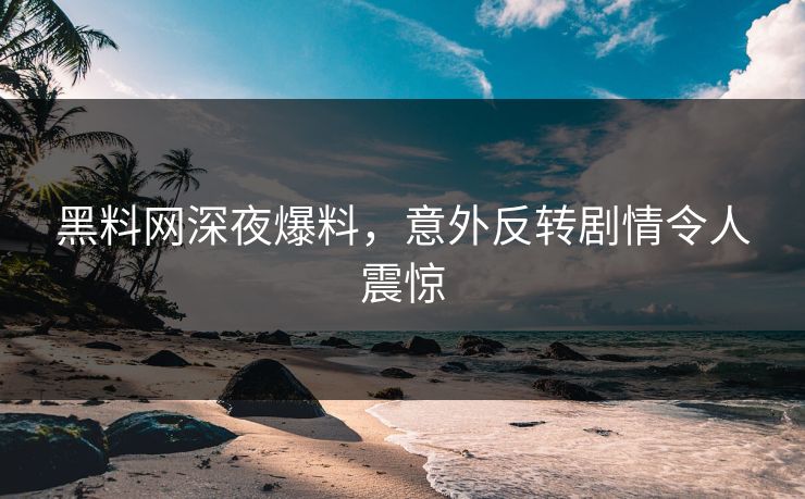 黑料网深夜爆料，意外反转剧情令人震惊