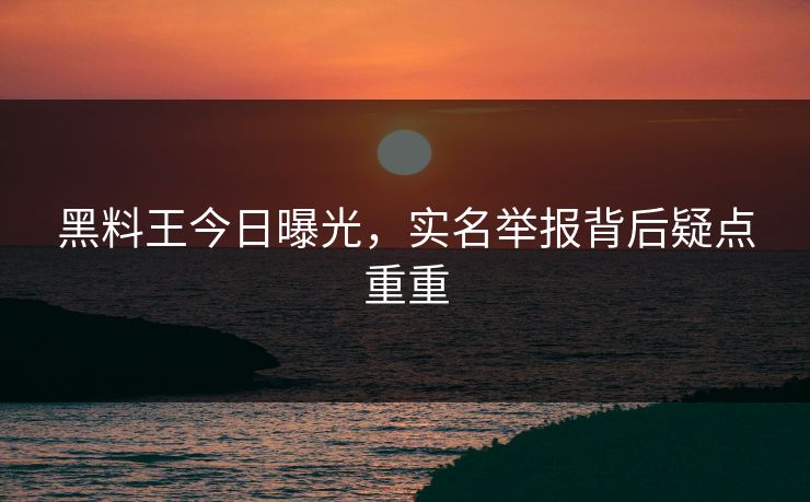 黑料王今日曝光，实名举报背后疑点重重