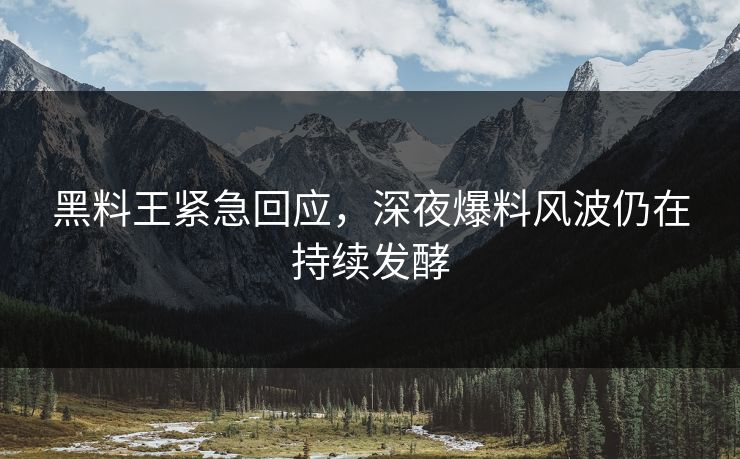 黑料王紧急回应，深夜爆料风波仍在持续发酵