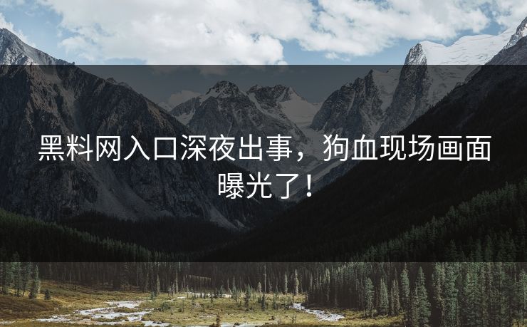 黑料网入口深夜出事，狗血现场画面曝光了！