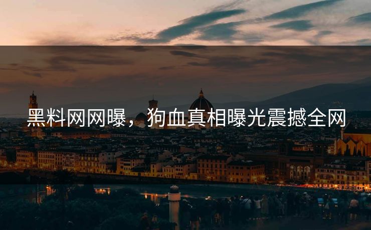 黑料网网曝，狗血真相曝光震撼全网