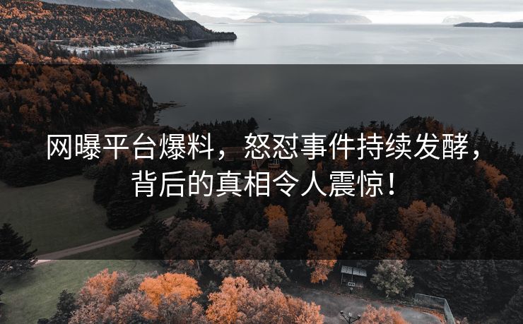 网曝平台爆料，怒怼事件持续发酵，背后的真相令人震惊！