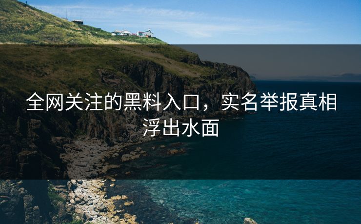 全网关注的黑料入口，实名举报真相浮出水面