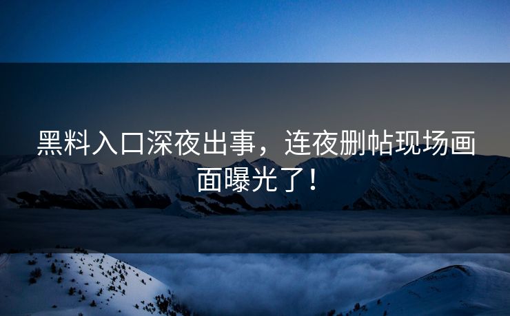 黑料入口深夜出事，连夜删帖现场画面曝光了！