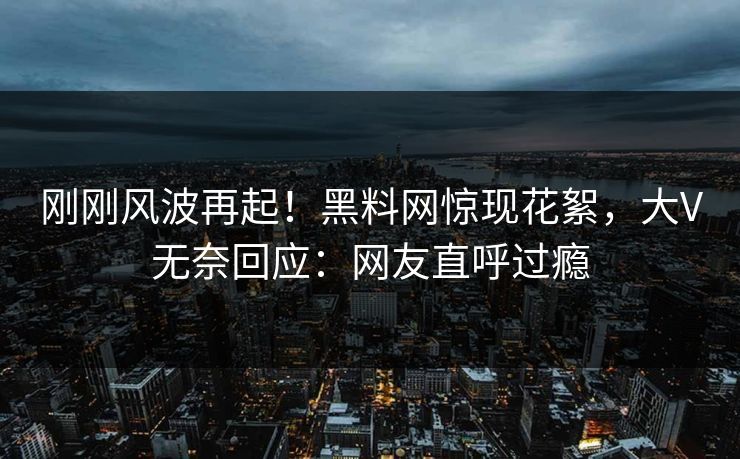 刚刚风波再起！黑料网惊现花絮，大V无奈回应：网友直呼过瘾