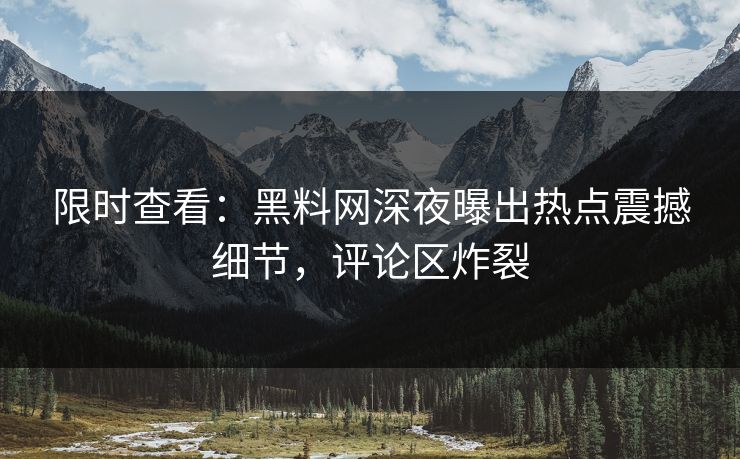 限时查看：黑料网深夜曝出热点震撼细节，评论区炸裂