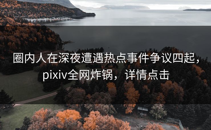 圈内人在深夜遭遇热点事件争议四起，pixiv全网炸锅，详情点击