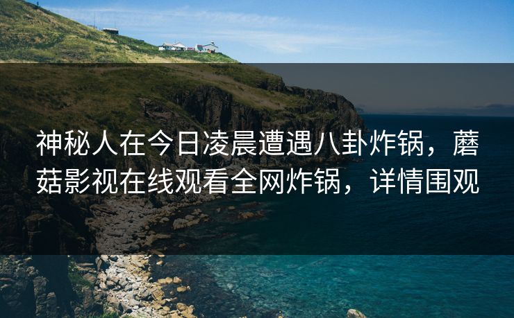 神秘人在今日凌晨遭遇八卦炸锅，蘑菇影视在线观看全网炸锅，详情围观