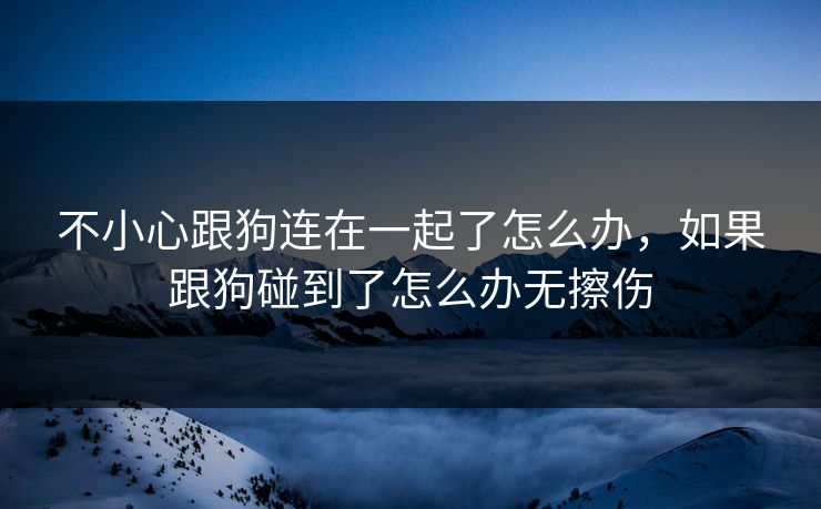 不小心跟狗连在一起了怎么办，如果跟狗碰到了怎么办无擦伤
